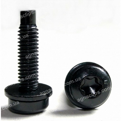 H 2117 Гвинт M6x22 із шайбою