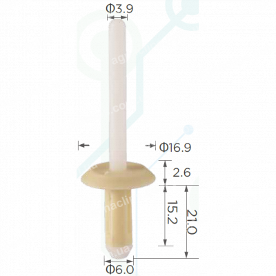 C 346 Заклепка пластикова 14070914