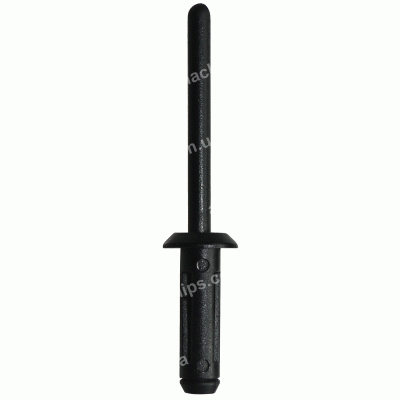 C 468 Заклепка пластикова Chrysler GM 20465395 6004212