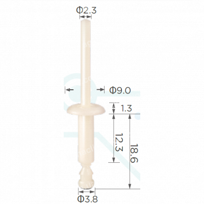 C 1240 Заклепка пластикова