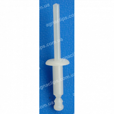 C 1240 Заклепка пластикова