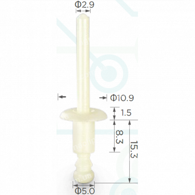 C 1241 Заклепка пластикова