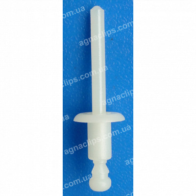 C 1241 Заклепка пластикова