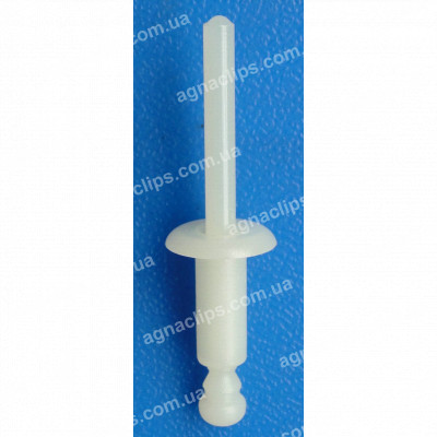 C 1242 Заклепка пластикова