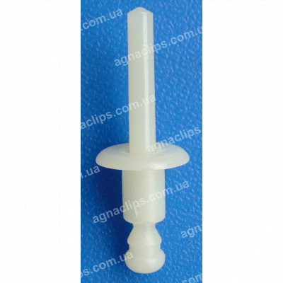 C 1243 Заклепка пластикова