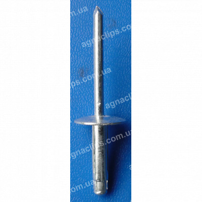 H 2118 Заклепка 4.8x23 GM
