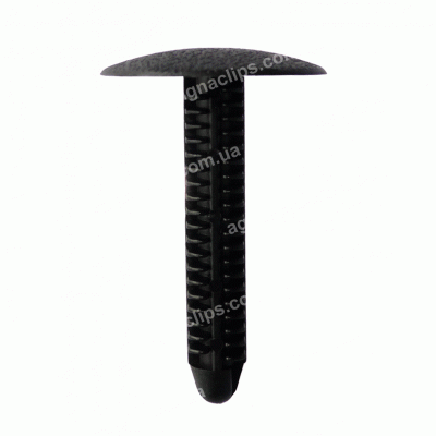 C 208 Кліпса Ford N804349S