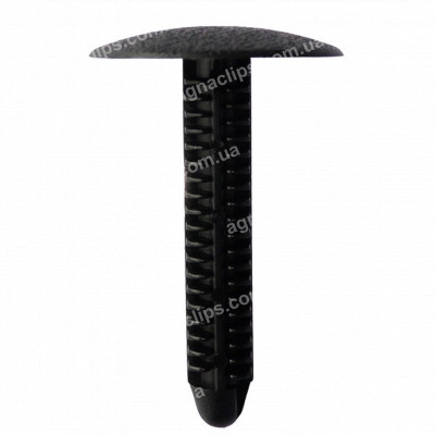 C 208 Кліпса Ford N804349S