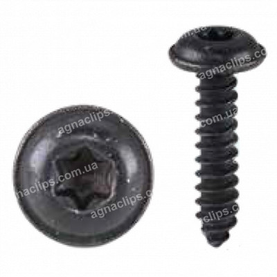 H 2330 Саморіз 4.2x19 під TORX