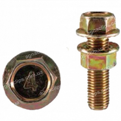 H 2378 Болт М10x33 із гайкою