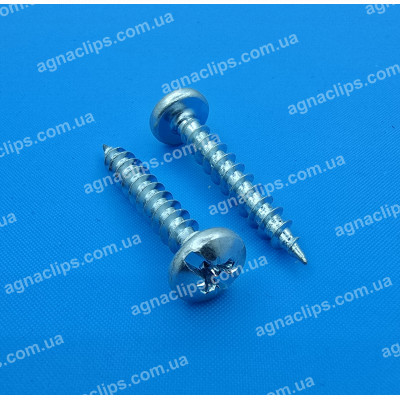 Саморіз 4.8х30 мм із напівкруглою головкою