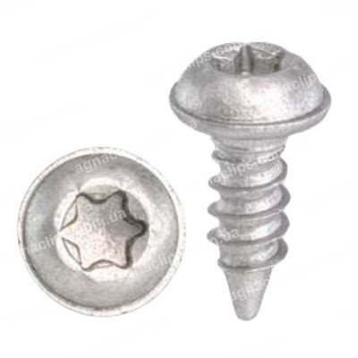 H 2389 Саморіз Tesla 1115453-00-B 4х11.3mm